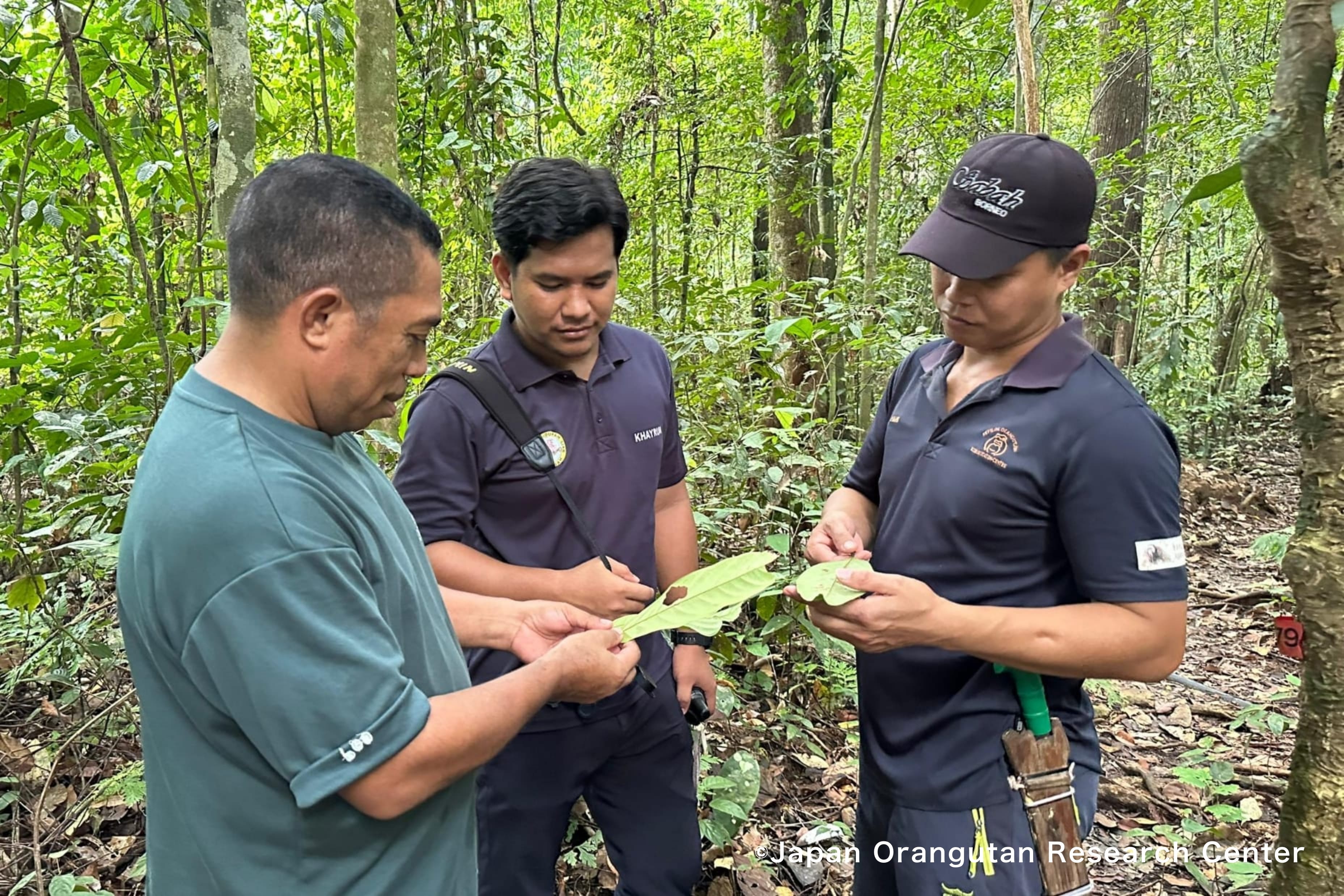 Short-term Training1