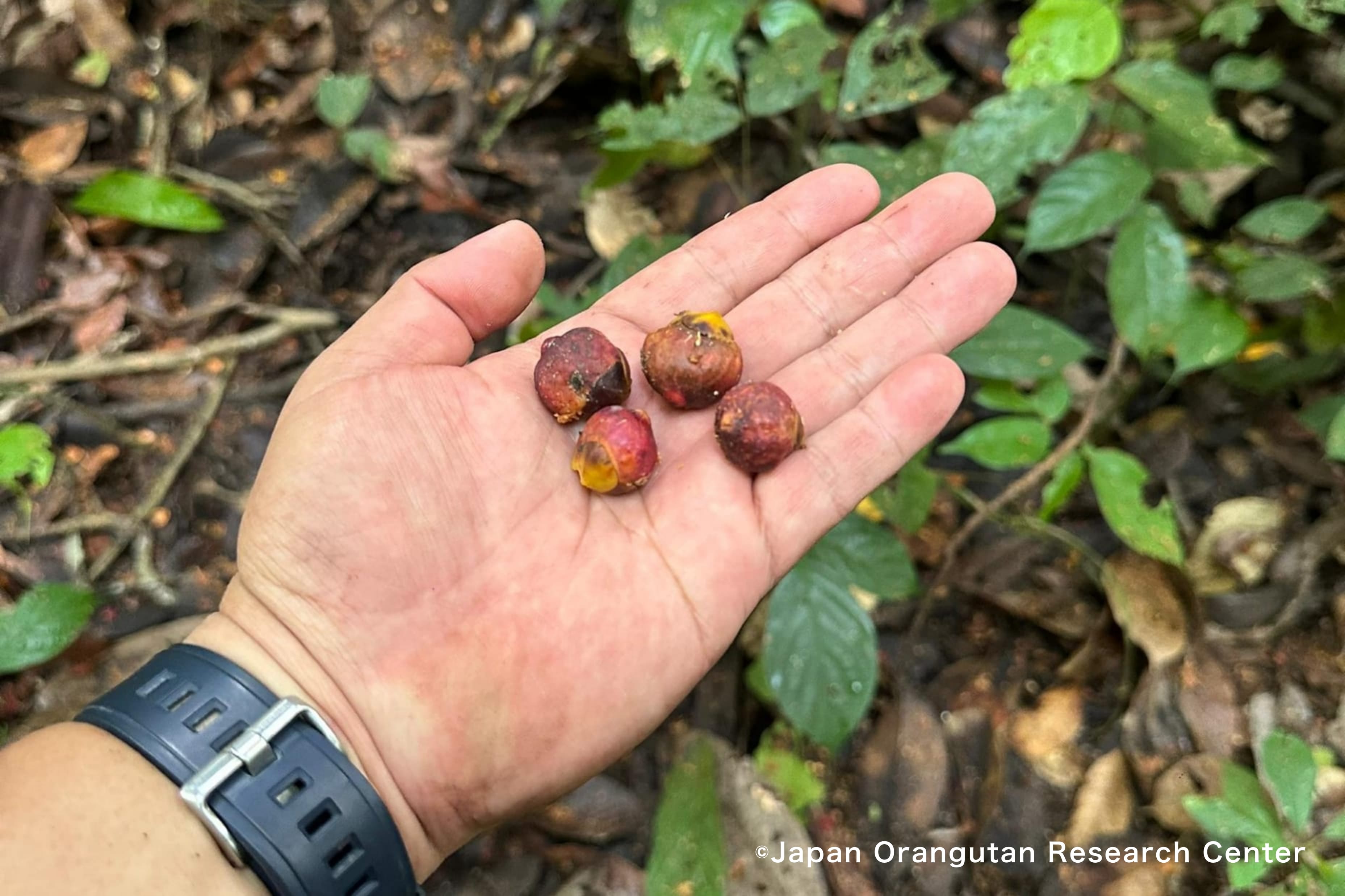 Short-term Training2