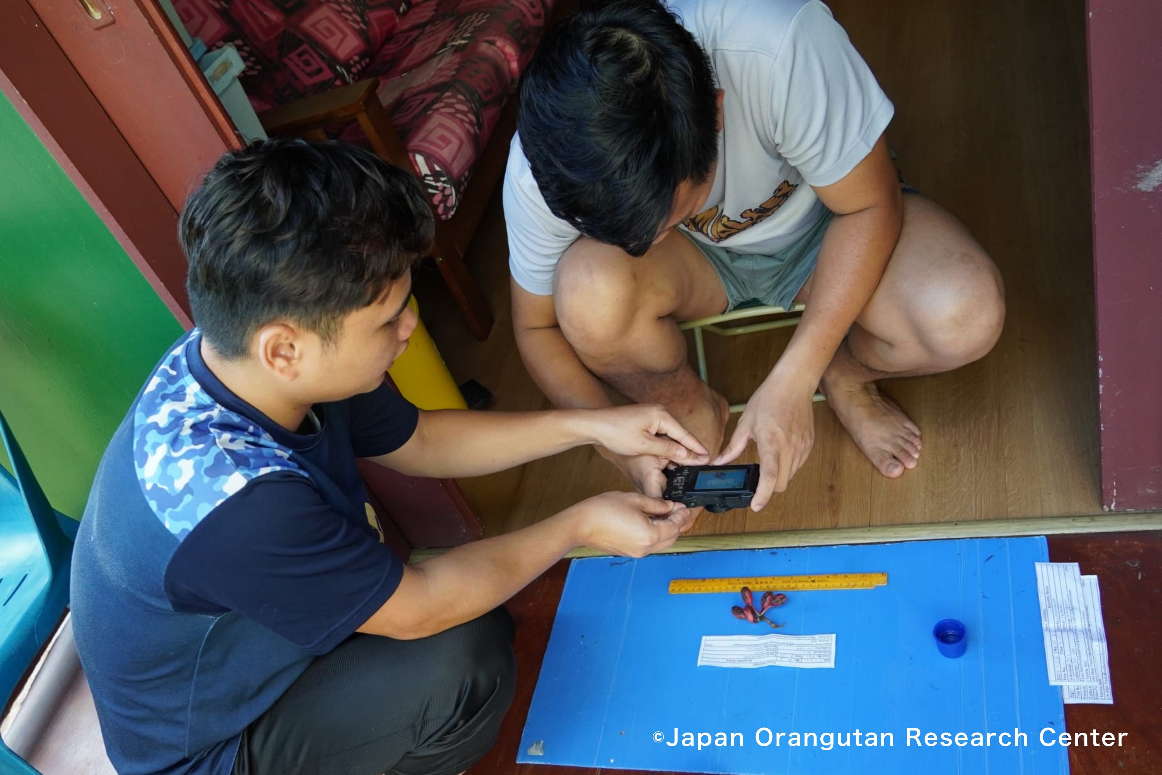 Short-term Training3