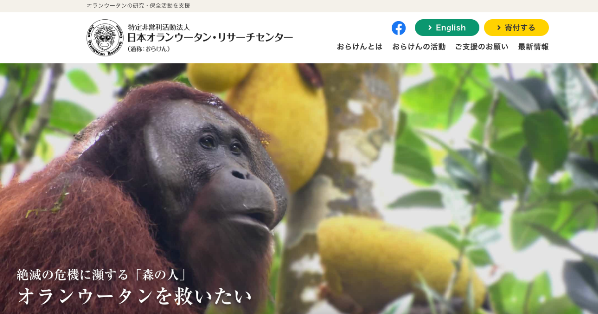 最新情報一覧 日本オランウータン リサーチセンター 通称 おらけん